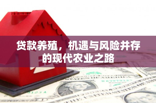 景泰贷款养殖，机遇与风险并存的现代农业之路