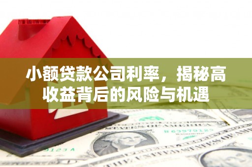 景泰小额贷款公司利率，揭秘高收益背后的风险与机遇