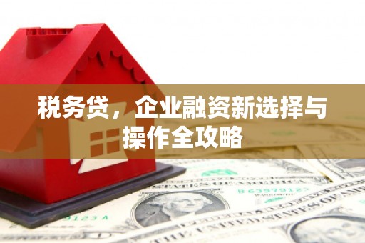 景泰税务贷，企业融资新选择与操作全攻略