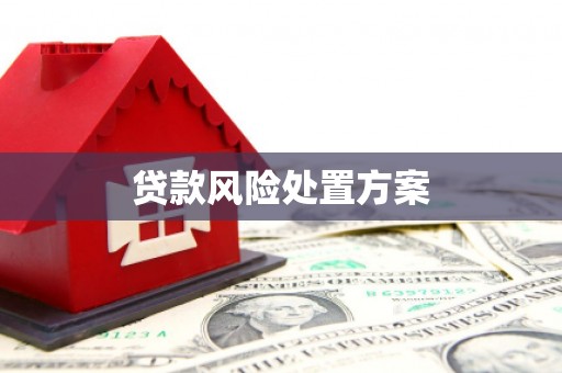 景泰贷款风险处置方案