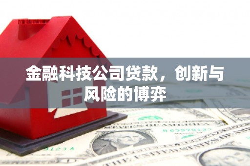景泰金融科技公司贷款，创新与风险的博弈