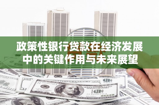 景泰政策性银行贷款在经济发展中的关键作用与未来展望