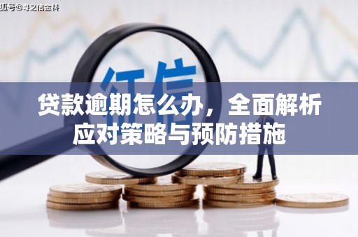景泰贷款逾期怎么办，全面解析应对策略与预防措施