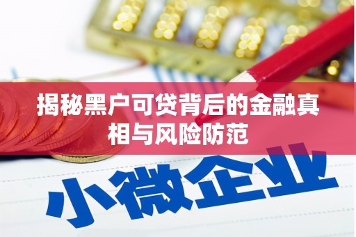 景泰揭秘黑户可贷背后的金融真相与风险防范