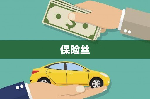 景泰保险丝