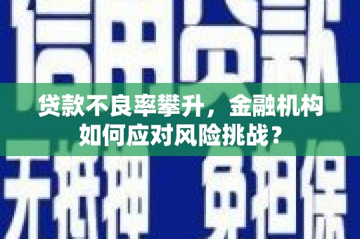 景泰贷款不良率攀升，金融机构如何应对风险挑战？