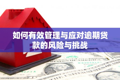 景泰如何有效管理与应对逾期贷款的风险与挑战