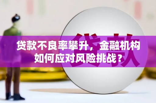 景泰贷款不良率攀升，金融机构如何应对风险挑战？
