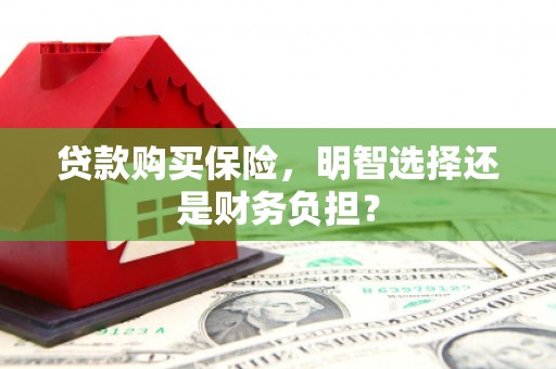景泰贷款购买保险，明智选择还是财务负担？