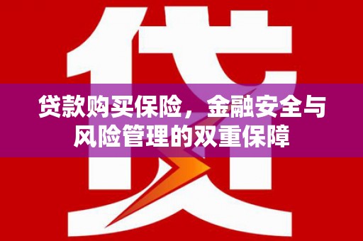 景泰贷款购买保险，金融安全与风险管理的双重保障