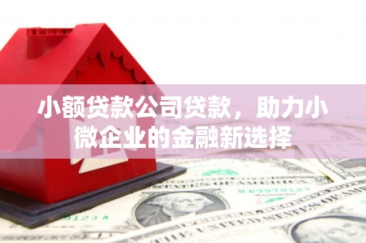 景泰小额贷款公司贷款，助力小微企业的金融新选择