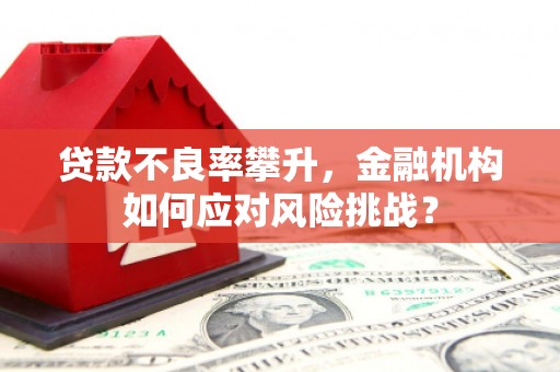 景泰贷款不良率攀升，金融机构如何应对风险挑战？