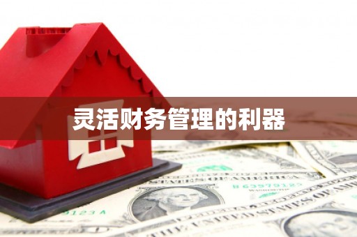 景泰灵活财务管理的利器