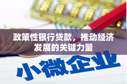 景泰政策性银行贷款，推动经济发展的关键力量