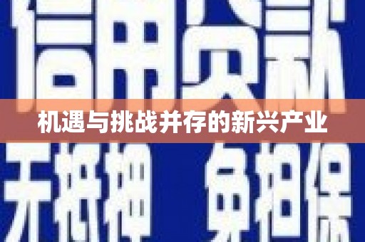 景泰机遇与挑战并存的新兴产业