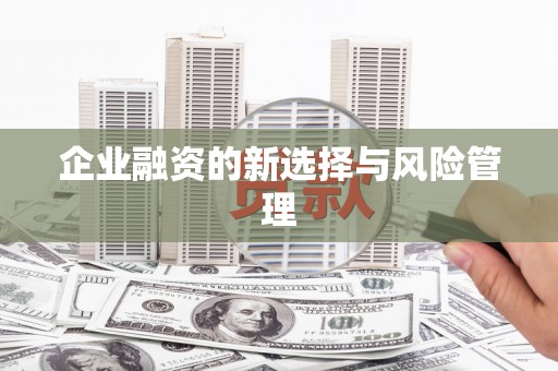 景泰企业融资的新选择与风险管理